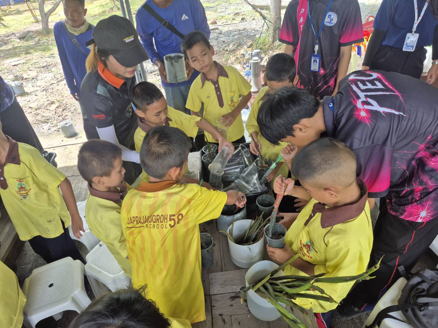 Activity Image