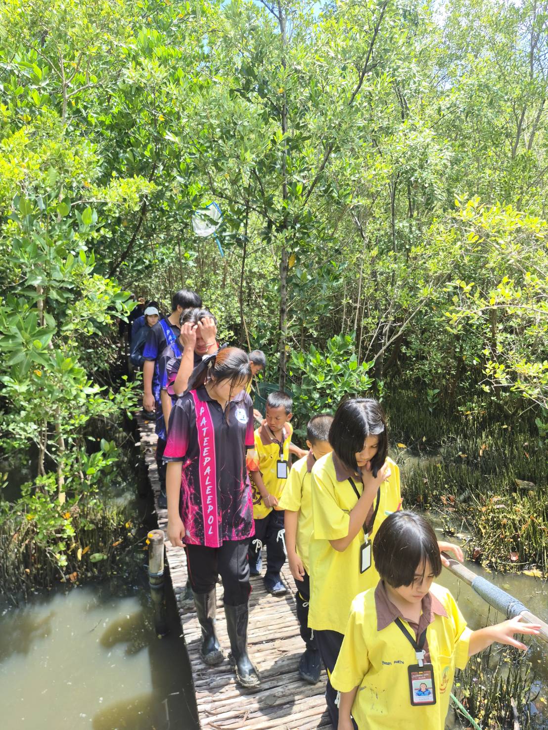 Activity Image