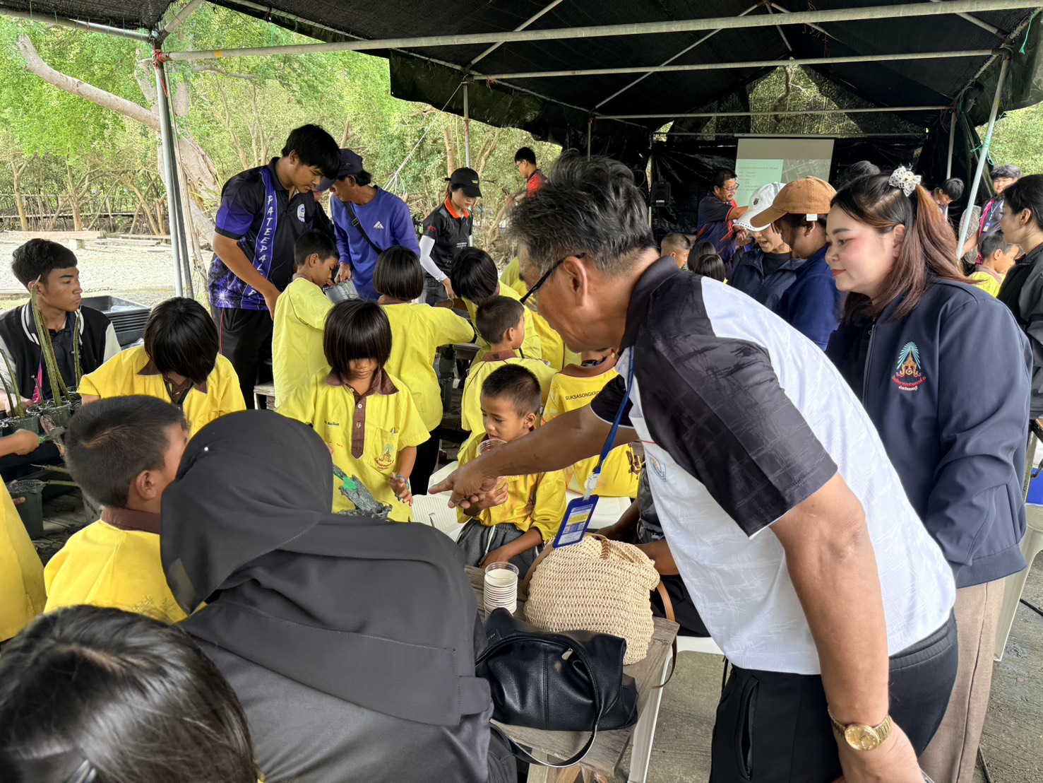 Activity Image